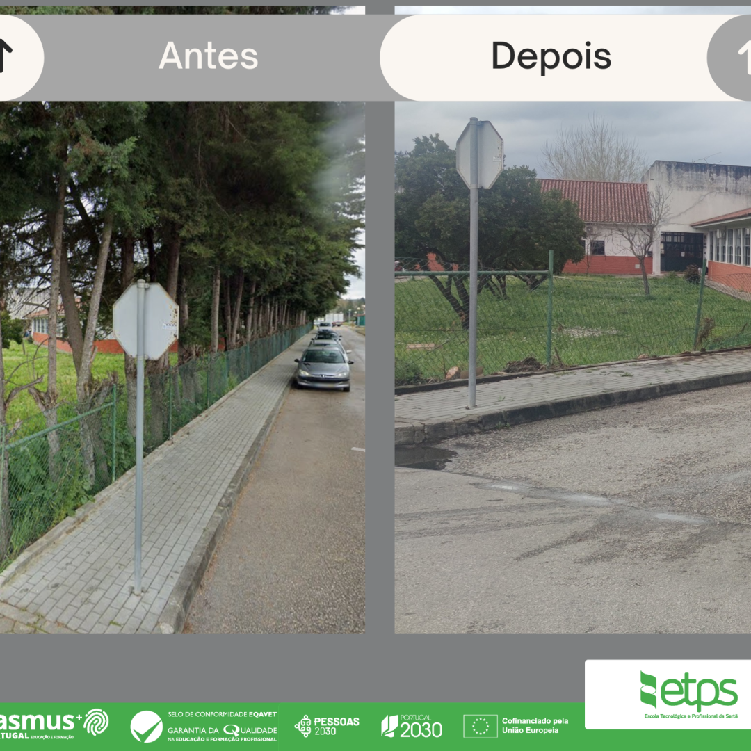 Dia Mundial da Árvore.